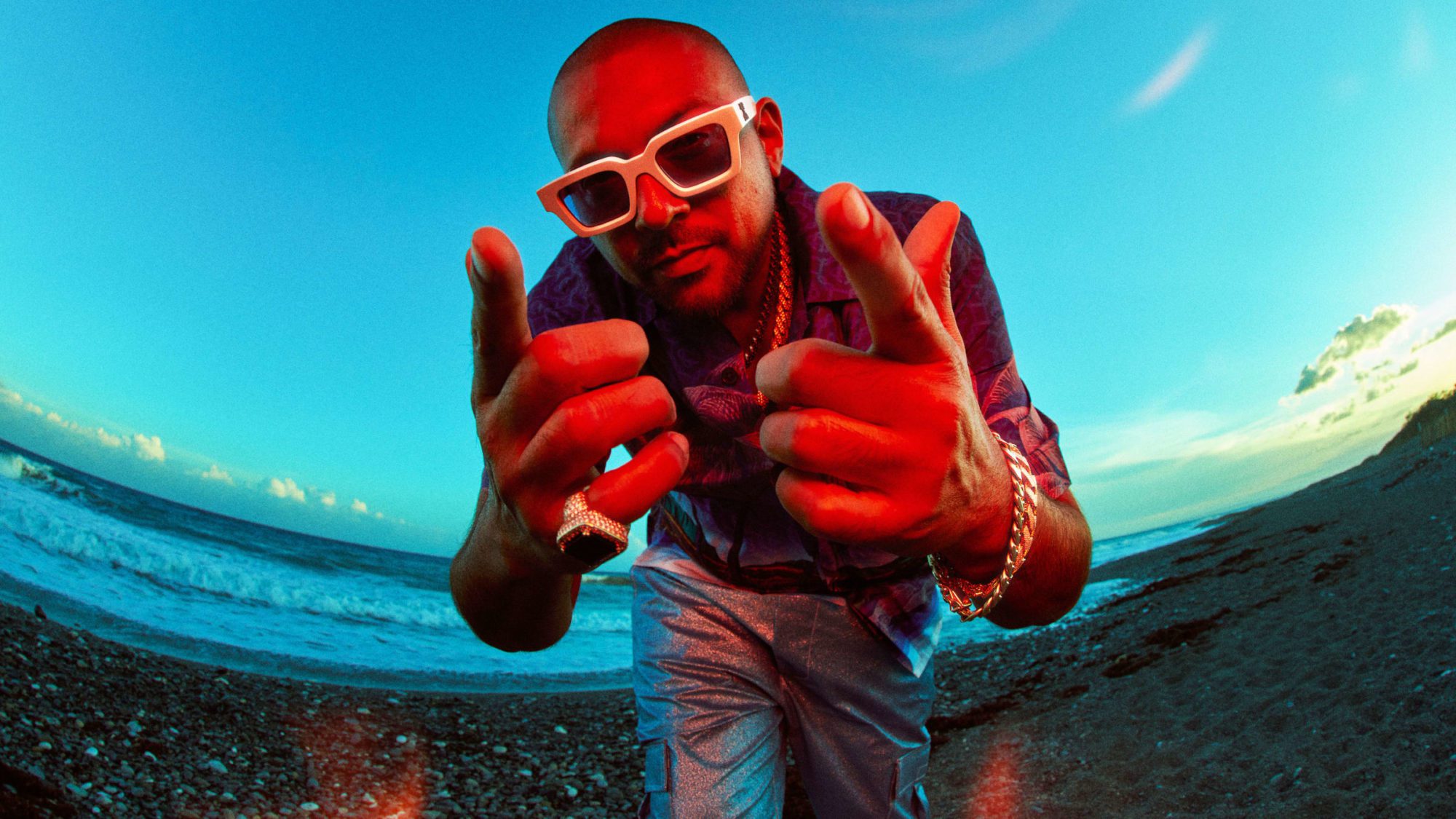 Sean Paul has the most commercially successful dancehall songs of all time