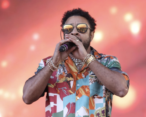 Shaggy says he has been touring since 1993