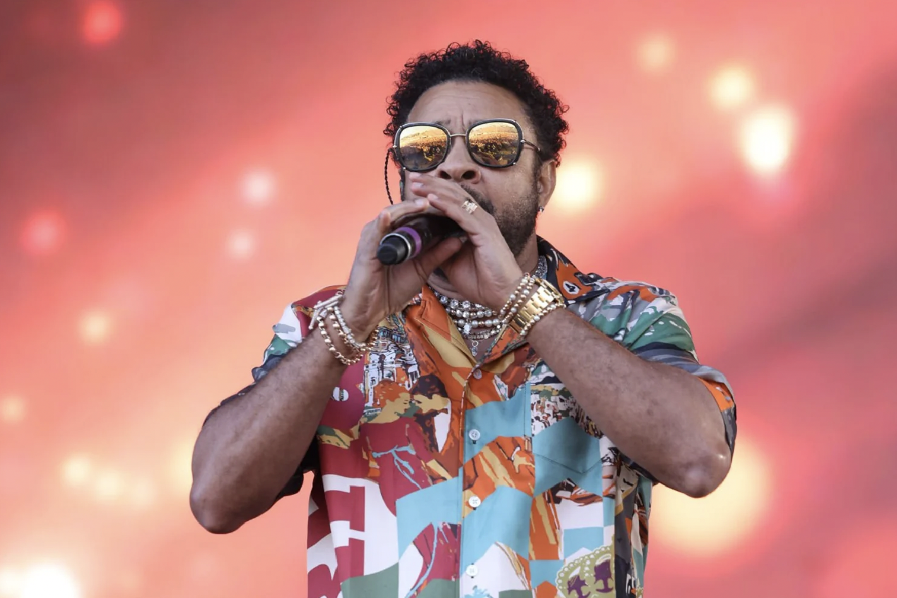 Shaggy says he has been touring since 1993